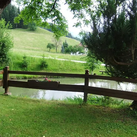 Holiday home Enghagen Haarstube Vorderstoder